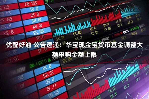 优配好油 公告速递：华宝现金宝货币基金调整大额申购金额上限