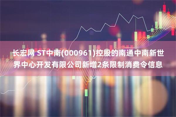 长宏网 ST中南(000961)控股的南通中南新世界中心开发有限公司新增2条限制消费令信息