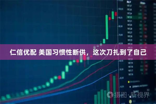 仁信优配 美国习惯性断供，这次刀扎到了自己